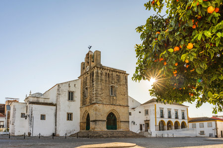 Downtown of Faro with Se Cathedral in the morning with orange tree in the foreground, Algarve,...