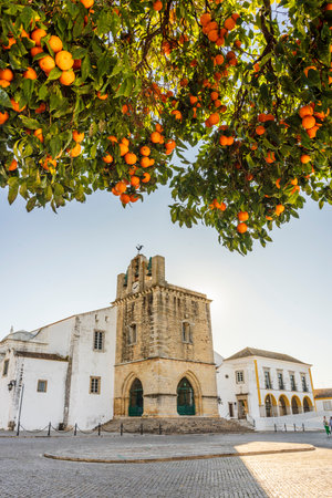 Downtown of Faro with Se Cathedral in the morning with orange tree in the foreground, Algarve,...