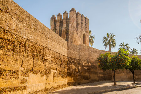 Old city walls of historic Seville, Andalusia, Spain, Europeの写真素材