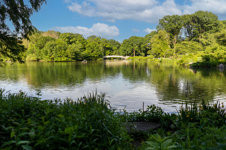 Central Park's Bow bridge, The Lake, New York City - USA