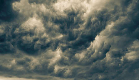 Sky with dramatic clouds and treetops in the foregroundの写真素材