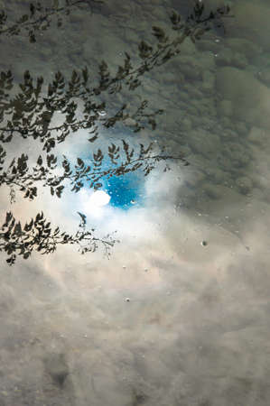 Wonderful reflection of clouds in a mountain lake, you can also see the reflection of branchesの写真素材