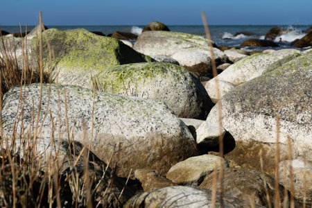 View along the shore of the Baltic Sea with its unique large stonesの写真素材