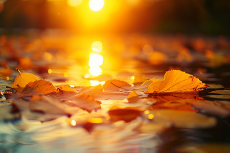 Autumn leaves on water surface with sun rays and bokeh with AI generated.の素材