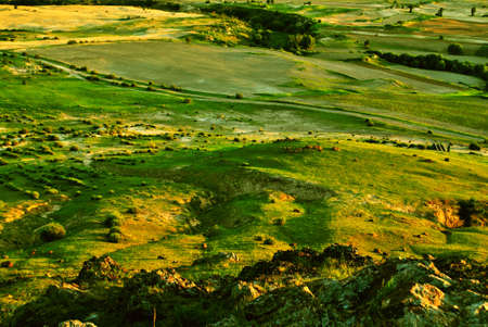 meadow at inner-Mongolia;