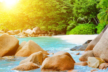 seychelles dream beachの写真素材