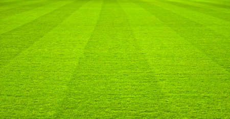 soccer playing fieldの写真素材