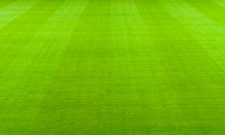 soccer playing fieldの写真素材