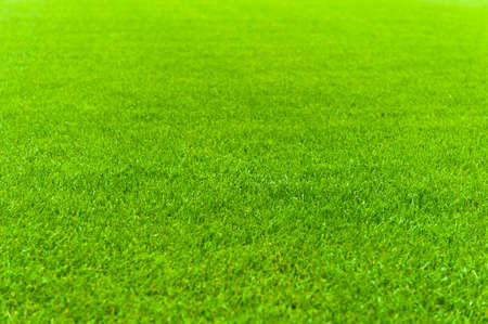 soccer playing fieldの写真素材