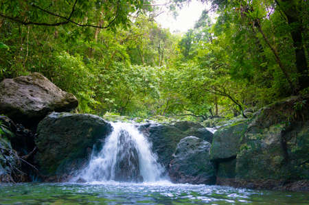 Tropical Paradise Madagascarの写真素材