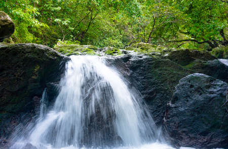 Tropical Paradise Madagascarの写真素材