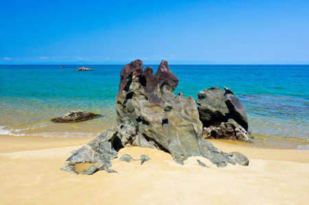 Tropical Paradise Madagascarの写真素材
