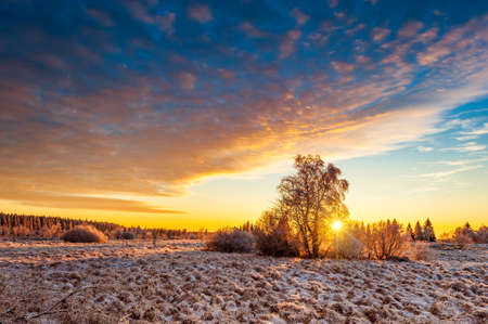 High Fens Winter Landscapeの写真素材