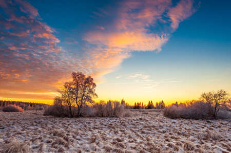 High Fens Winter Landscapeの写真素材