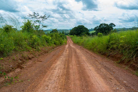 Amazon River Scene in Brazilの写真素材
