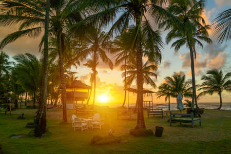 Beach of Bahia, Brazilの写真素材