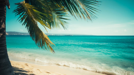 Beautiful tropical beach with palm tree and sea - Vintage filter effectの素材
