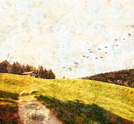Mountain pasture with hut, textured. The sky covers much of the image with the possibility to enter text. Flock of birds from the center of the stage and out of one side of the image, giving continuity to the path in the foreground.の写真素材