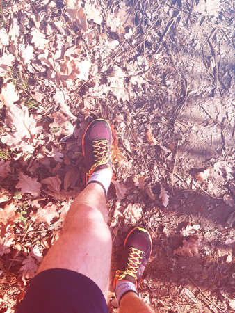 Running autumnの写真素材