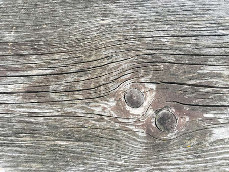 Close up of wood texture. Natural background.