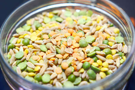 Different varieties of dried legumes in glass jar. Selective focus. Close-up.の写真素材