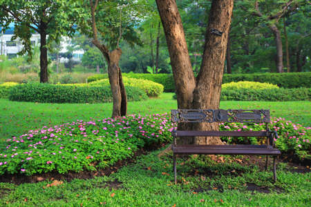 Bench in the parkの写真素材