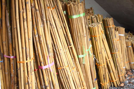 Bambooの写真素材