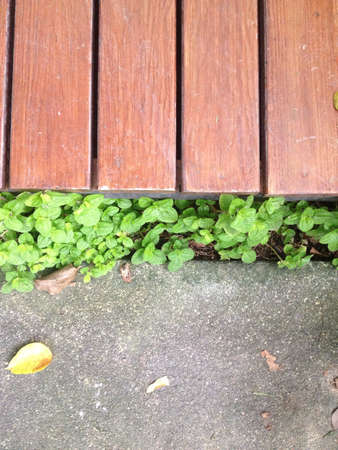 Transition space from wood floor to concrete floorの素材