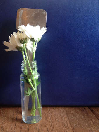 White flower in small bottle with silver plate copy spaceの素材