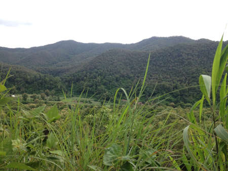 Mountain and grass as foregroundの素材