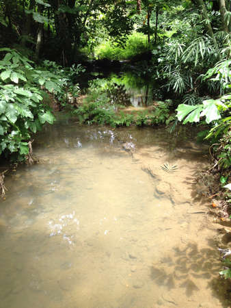 Sand under clear riverの素材