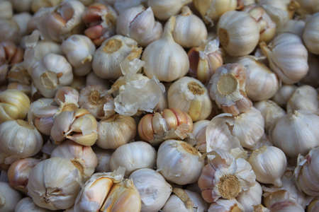 Garlicの素材