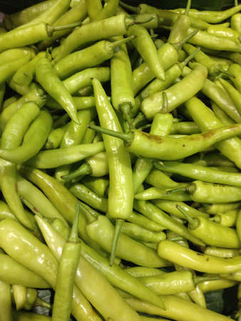 Fresh green chilli in marketの素材
