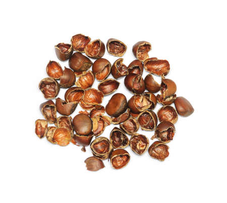 Close up crack chestnuts on isolated white backgroundの写真素材