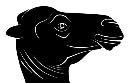 Camel Head, Black White Silhouette, Vector Illustrationのイラスト素材