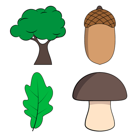 Cartoon Oak Tree, Oak Leaf, Acorn and Mushroom Set, Vector Illustrationのイラスト素材