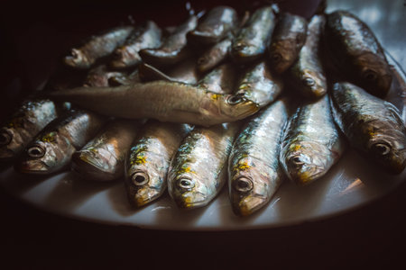 sardine dish facing downwardsの写真素材