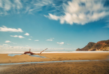 Idyllic landscape of tree trunk on the beach with moving clouds. Tranquility and serenity walking in nature.の写真素材