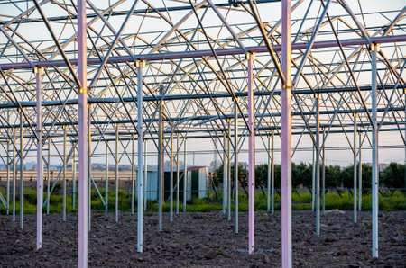 structure or frame of a greenhouseの写真素材