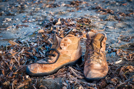 Worn lace-up boots among seaweed on the beach.