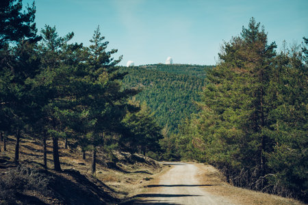 footpath in the forest of pine trees with the astronomical observatory of astronomy in the backgroundの写真素材