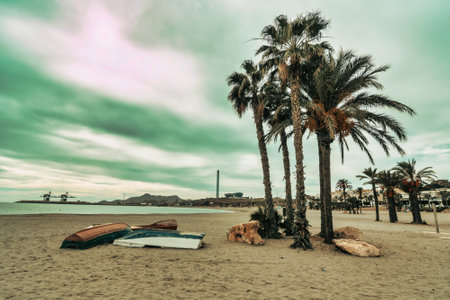 Boats stranded on the sand on the beach next to the palm trees. Threatening sky with port cranes in the background.の写真素材