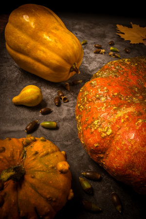 Autumn still life with pumpkins, acorns and leaves on dark backgroundの写真素材