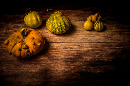 different types and colors of pumpkins on dark wood. Halloween. Autumn. Copy space.の写真素材