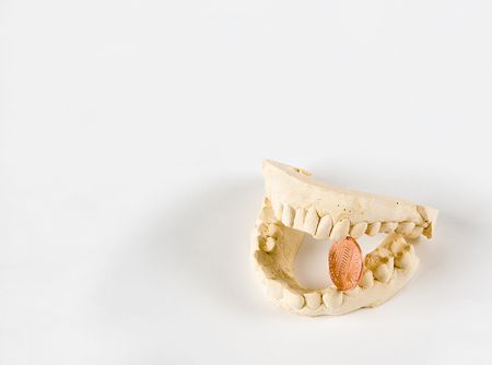 Ready to bite againの写真素材