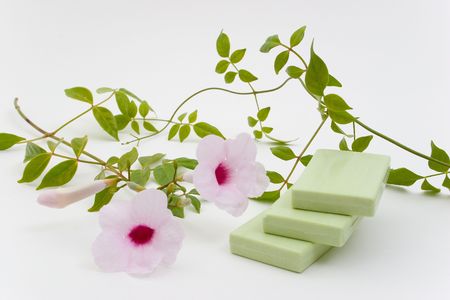 Green Herbal Bar Soapの写真素材