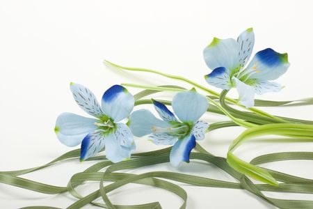 Blue Astroemeria artificial flower and green ribbon compositionの写真素材