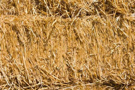 Hay stack background