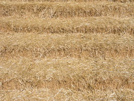 Hay stack at autumn farmers market; backgroundの写真素材