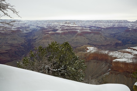 Snow storm above Grand Canyon south rim, Yavapai Point; December, Arizonaの写真素材